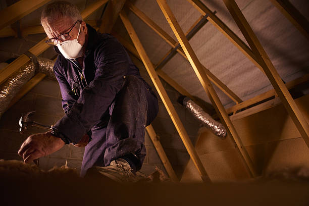 Best Eco-Friendly Insulation in Markle, IN